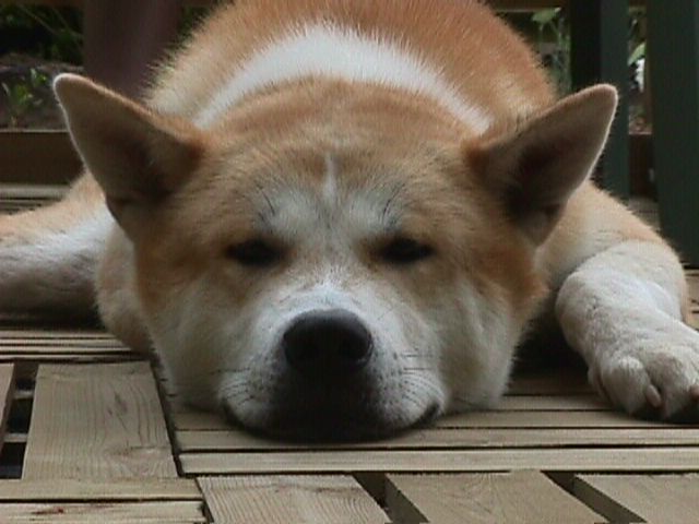 descanso