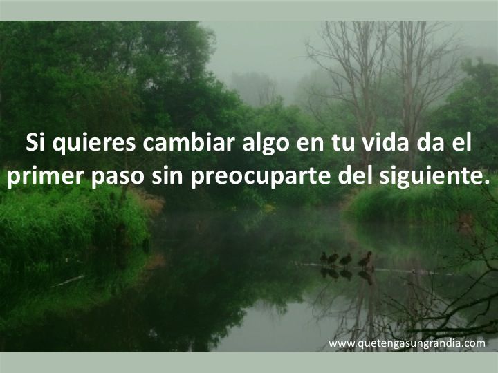 lograr objetivos