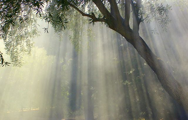 vivir con magia y el duende